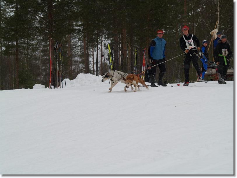 Nästa bild